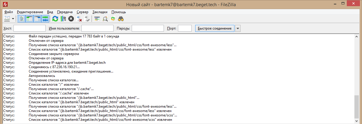 Поле лога соединения в Filezilla